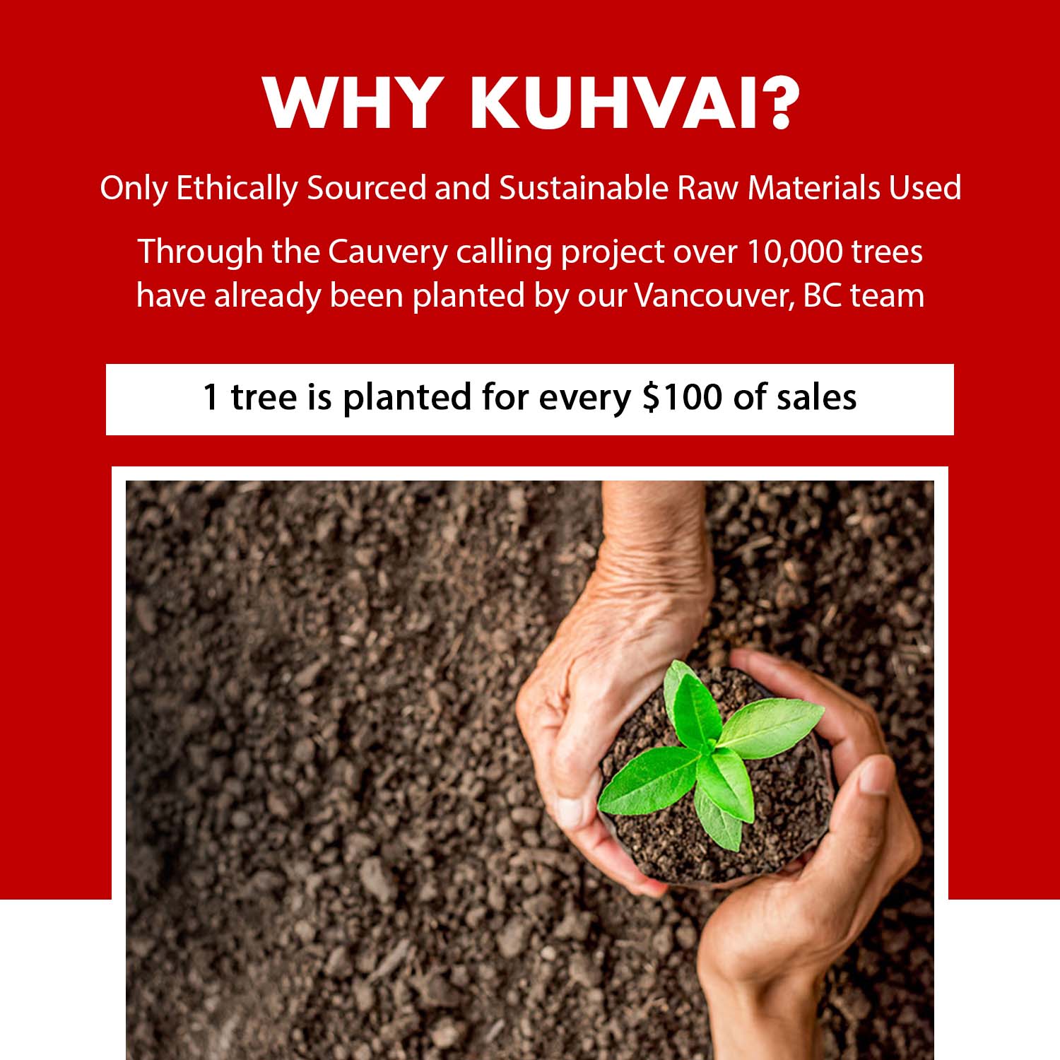 Sipransh Ecommgrowth (13)